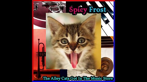 Song: The Alley Cats Got In The Music Store by Spicy Frost