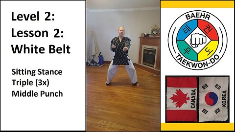 Baehr Taekwondo: 02-02: Yellow Stripe: Sitting Stance - Triple Middle Punch (punch 3x)