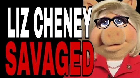 MAGA TWITTER HILARIOUSLY MEME LIZ CHENEY AFTER HUGE PRIMARY DEFEAT