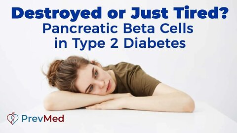 Destroyed or Just Tired? Pancreatic Beta Cells in Type 2 Diabetes
