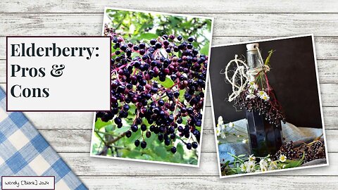 Elderberry: Pros & Cons , Nature a Healing Force