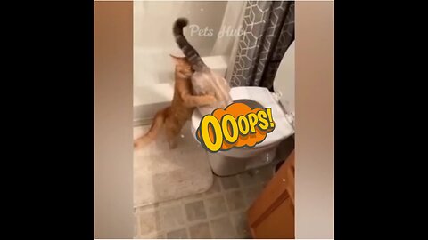 Funny Animals 2023 last Part 4: Funniest Dogs