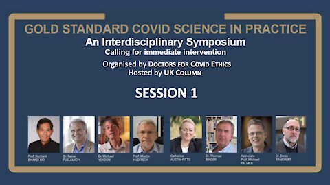 Doctors for Covid Ethics Symposium - Session 1: The False Pandemic
