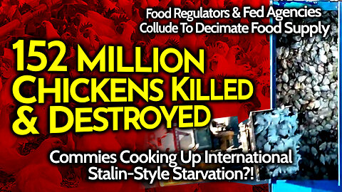 150+ Million Birds KILLED Govt Sacrifice: Food Supply SABOTAGED Chicken MASSACRE (Avian Flu Excuse)!
