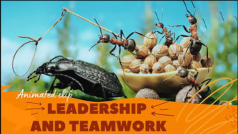 Teamwork and Leadership | Animated short clip | Creative 360 | #teamwork #leadership #motivation