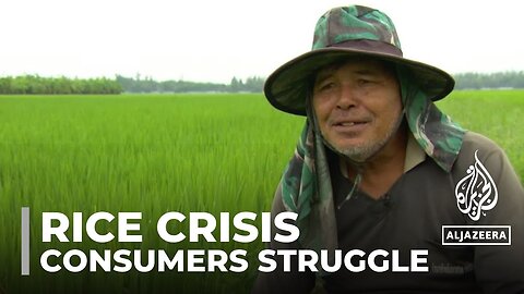 Farmers in Asia reap rewards of soaring rice prices, while consumers struggle to afford staple crop