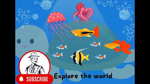 Learn Sea Animal Sea Creature Names in English Korean 바다동물 바다생물 물놀이하며 이름 배우기 영어 한국어