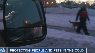 Remember your pets during freezing conditions