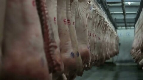 Pork body hanging in the freezer Meat Factory Meat processing in food industry7