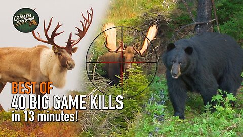 Amazing Hunts in 13 Minutes! (BEST OF HUNTING Compilation) | Wild Hunter's Outdoors