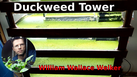 Duckweed Grow Tower