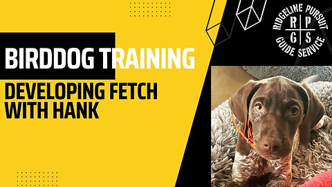Bir Dog Training - Developing Fetch with Hank