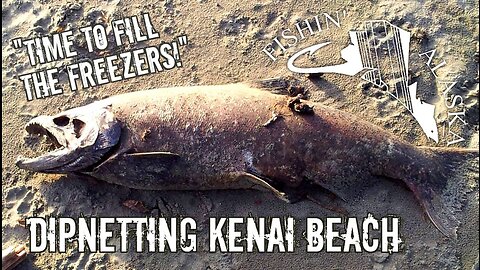 DIP NETTING FOR SALMON @ KENAI BEACH (Time lapse) #21