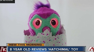8-year-old reviews 'Hatchimal' toy