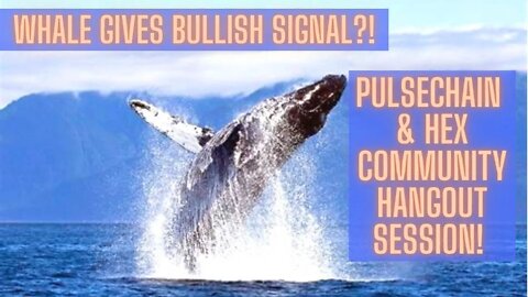 PulseChain & Hex Community Hangout Session! Whale Gives Bullish Signal?!