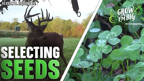 Expert Tips for Optimal Nutrition and Giant Deer Growth