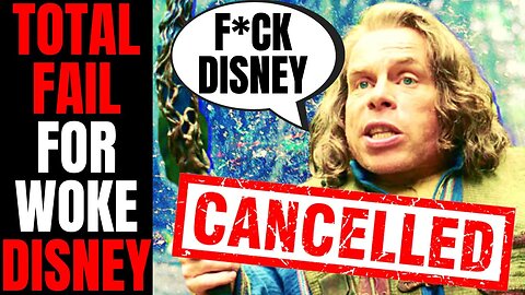 Disney Gets SLAMMED By Star Of Willow After Another PATHETIC Woke Failure
