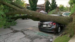 Storm debris blocks neighborhood access