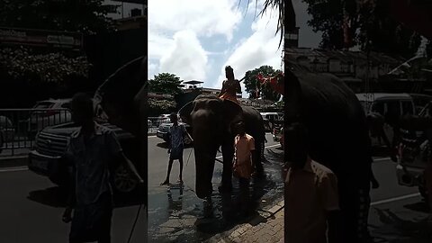 Chariot Festival 1