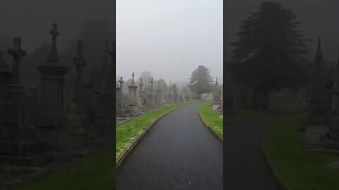 Foggy cemetery walking tour