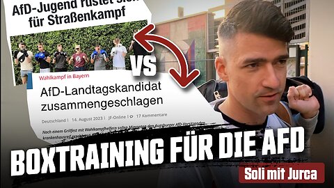 Steinmeier hetzt: Migranten prügeln - Mein Rat an die AfD