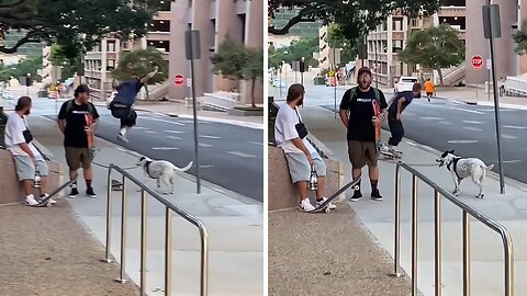 Awesome Skater Pulls Off Epic Jump Over Dog's Leash