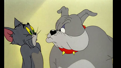 Tom and Jerry The Truce Hurts Classic Cartoon