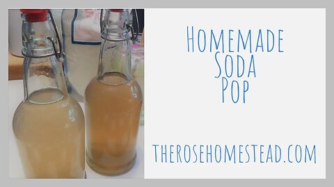 Homemade soda pop||Water Kefir