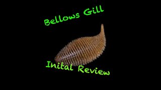 Geecrack Bellows Gill Initial Review