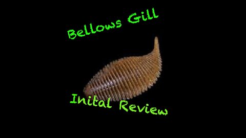 Geecrack Bellows Gill Initial Review
