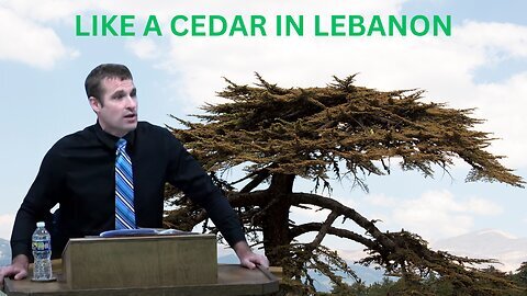 Pastor Matthew Stucky | Like a Cedar In Lebanon