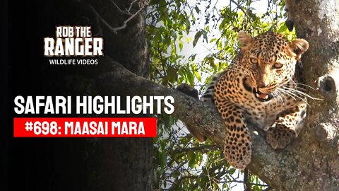 Safari Highlights #698: 24 July 2022 | Lalashe Maasai Mara | Latest Wildlife Sightings