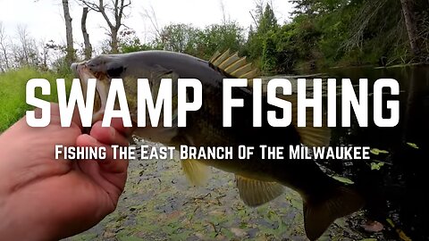 Getting Swamped For A Large Mouth: East Branch Part 2
