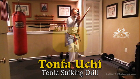 Tonfa Uchi (Strikes)