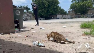 Belle Glade residents fear eviction after new property owners take over