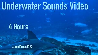 Calming 4 Hours Of Underwater Sounds Video