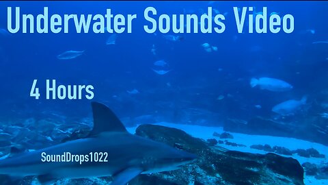 Calming 4 Hours Of Underwater Sounds Video