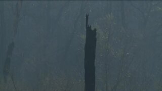 Nearly 3,000-acre wildfire burns in Monroe County