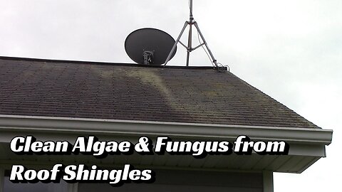 Clean Algae & Fungus from Roof Shingles