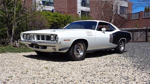 1971 Plymouth Cuda in White & 426 Hemi Engine Sound & Ride on My Car Story with Lou Costabile