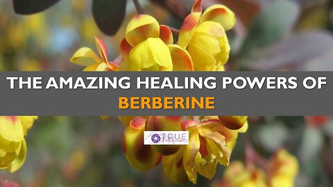THE AMAZING HEALING POWERS OF BERBERINE | True Pathfinder