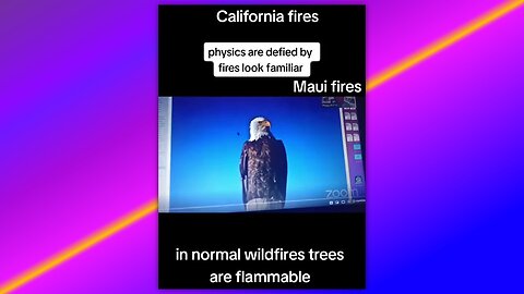 AN EXPERT ON TREES & HOW THE BURN WEIGHS IN ON THE RECENT CALIFORNIA FIRES & HOW THEY RELATE TO MAUI