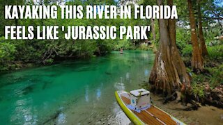You'll Feel Like You're In 'Jurassic Park' Kayaking Down This 7.4-Mile River In Florida