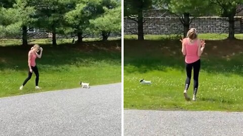 Woman Hilariously Fails To Catch Her Tiny Running Puppy