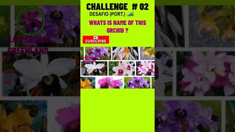 CHALLENGE # 02 |WHAT IS THE NAME OF THIS ORCHID? YOU WANT TO LEARN? #SHORT