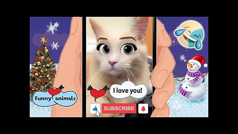 Funny Animal Videos Compilation. Cute Dogs And Cats Video