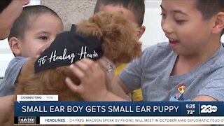 Las Vegas boy adopts puppy named Nemo who shares his 'small ear'