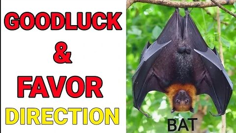 Good Luck and Favor Direction with BAT 🦇 | Heal Yourself GH | Heal Yourself Herbal #subscribe #share