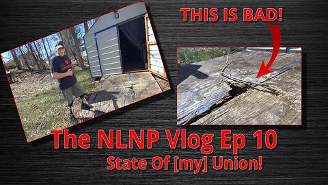 NLNP Vlog EP10 | State Of [my] Union!