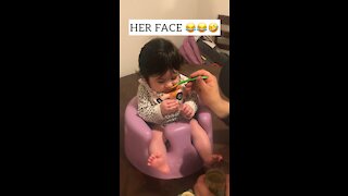 Hilarious Baby Reaction First Time Eating Food